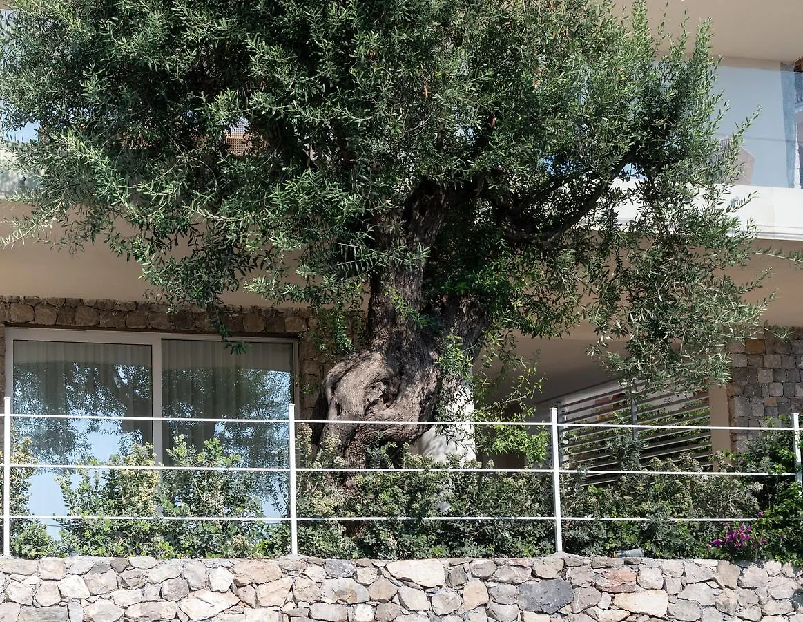 Iancu Charme Apartments Taormina Aparthotel